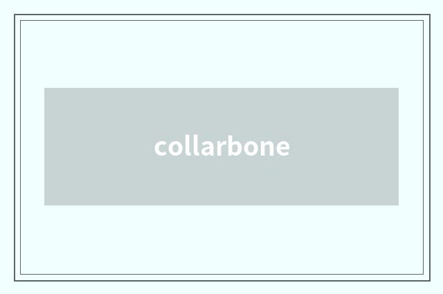 collarbone