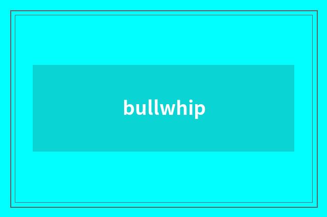 bullwhip