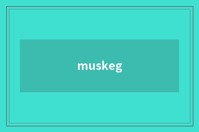 muskeg