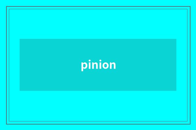pinion
