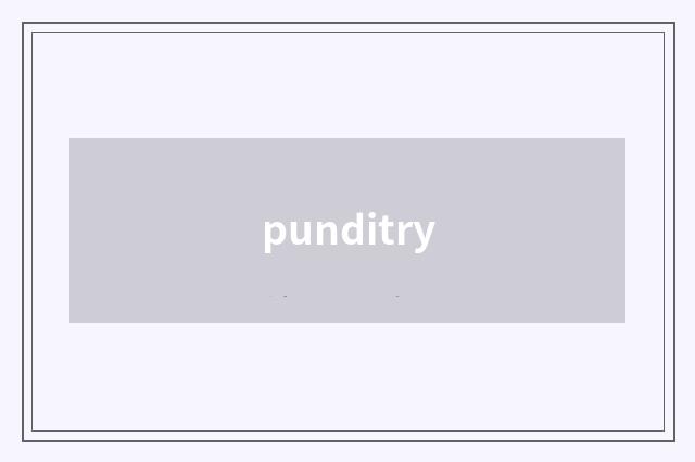 punditry