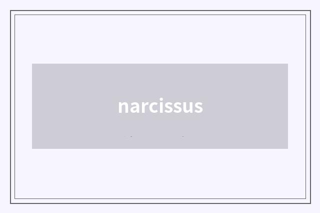 narcissus