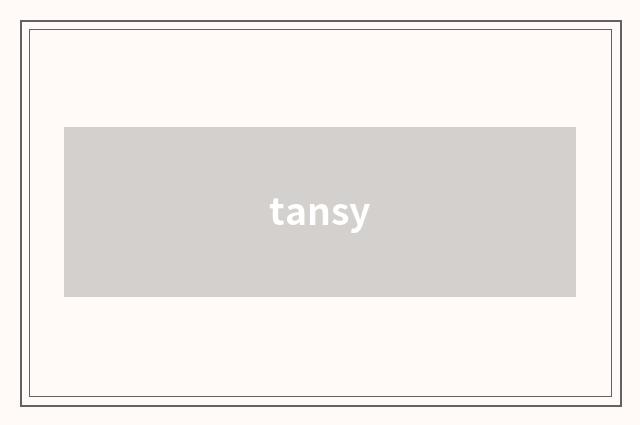 tansy