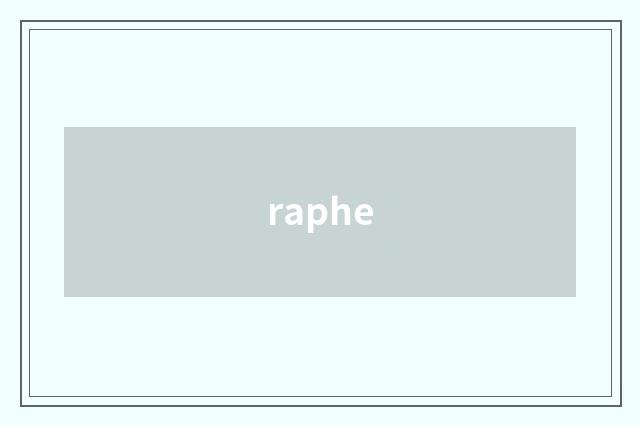 raphe