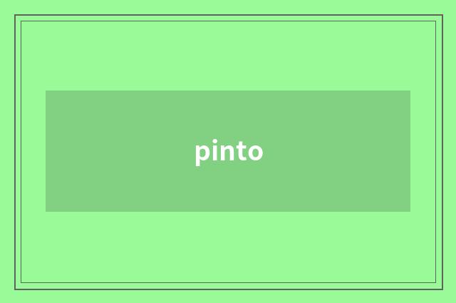 pinto