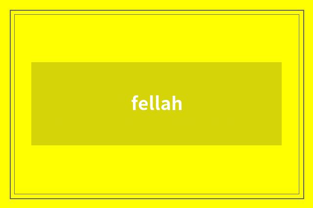 fellah