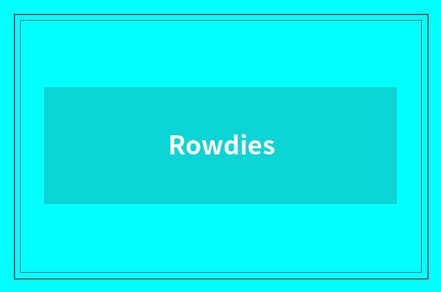 Rowdies