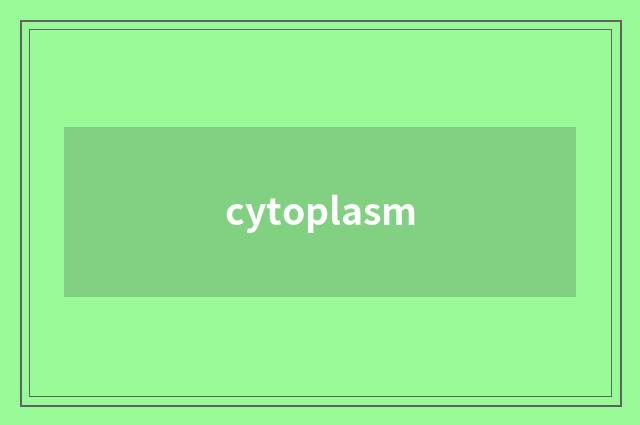 cytoplasm