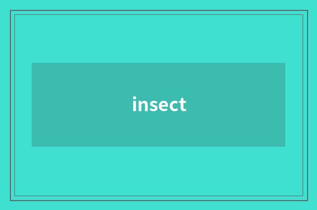insect