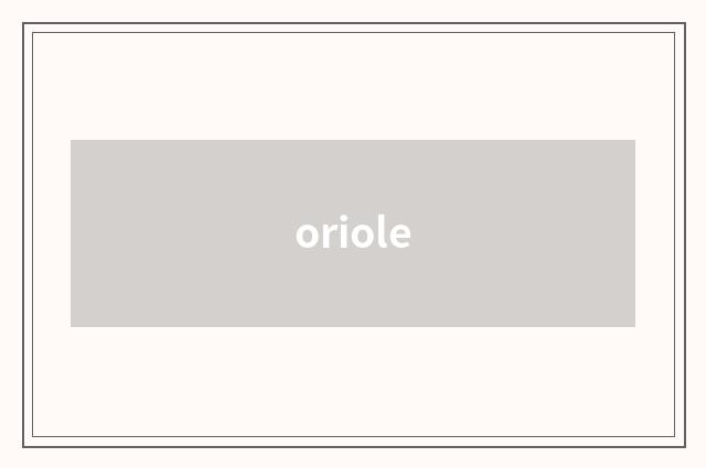 oriole