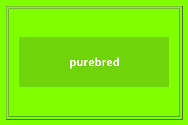 purebred
