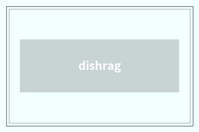 dishrag