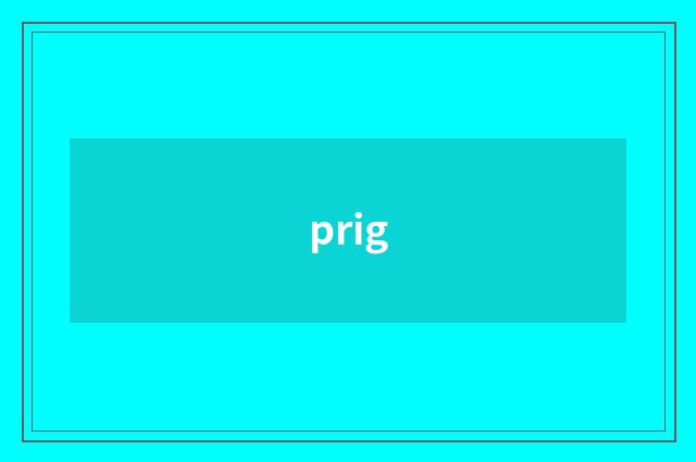 prig