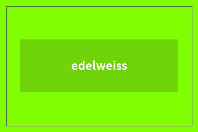 edelweiss