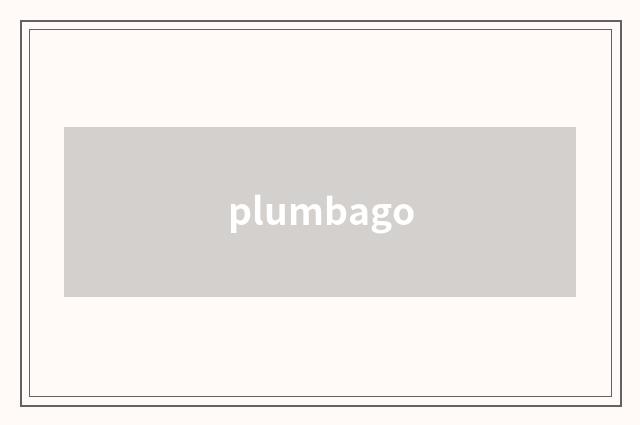 plumbago