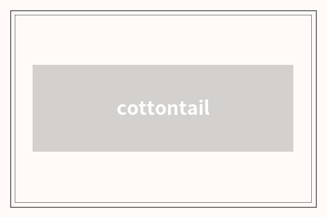cottontail
