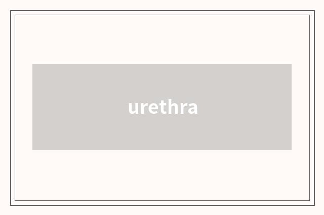 urethra