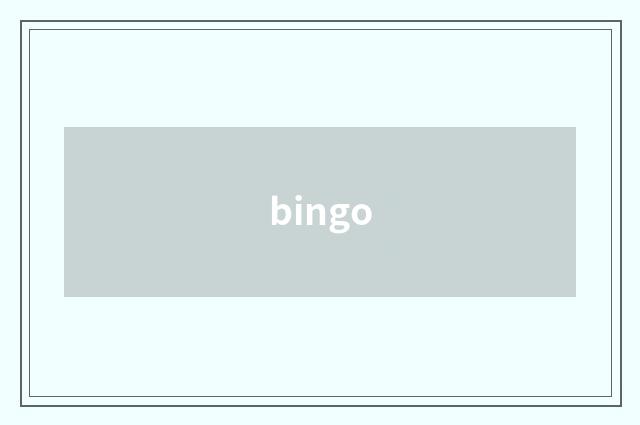 bingo