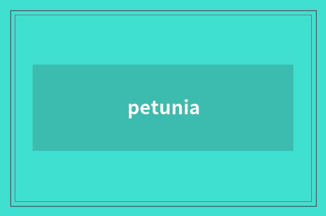 petunia