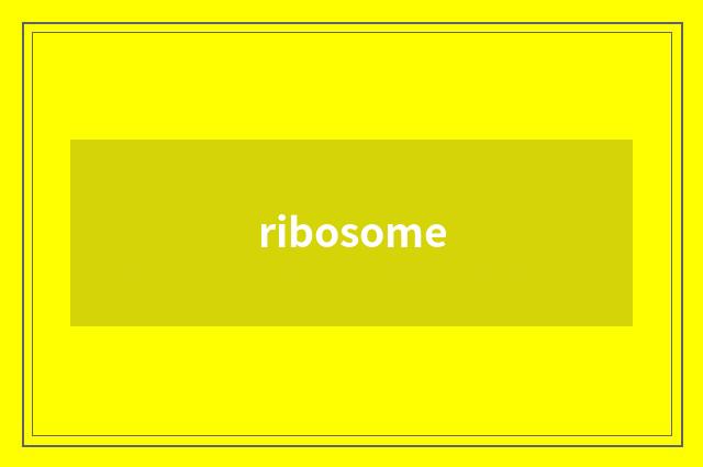 ribosome