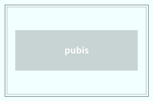 pubis