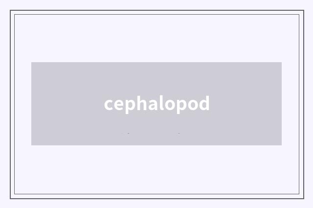 cephalopod