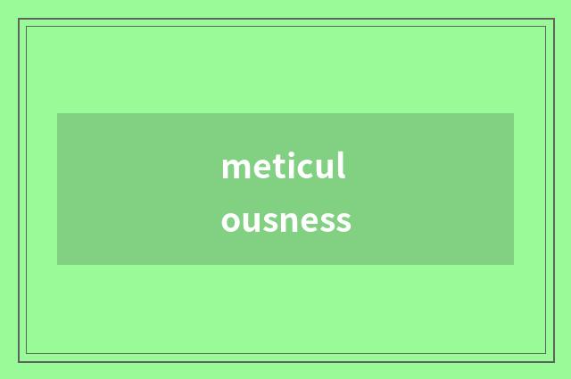 meticulousness