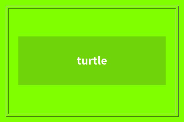 turtle