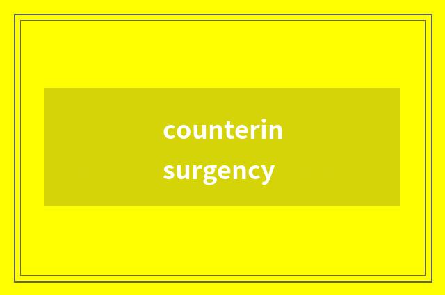 counterinsurgency
