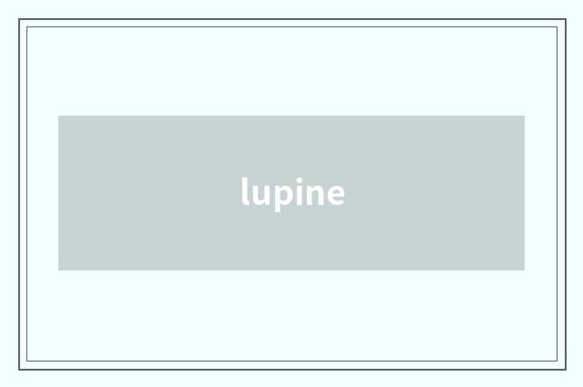 lupine