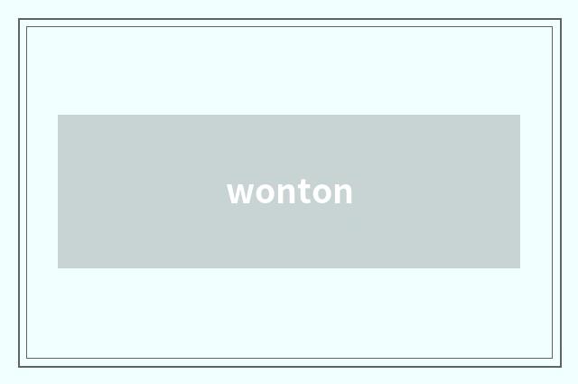 wonton