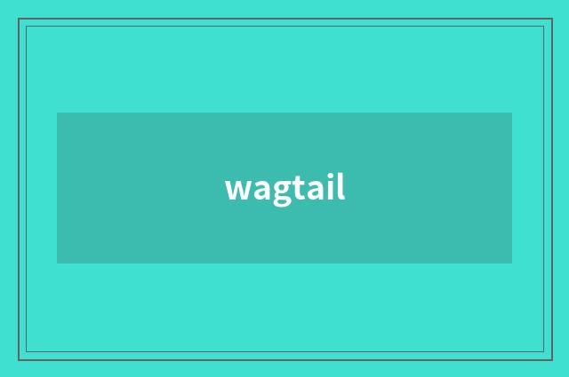 wagtail