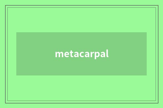 metacarpal