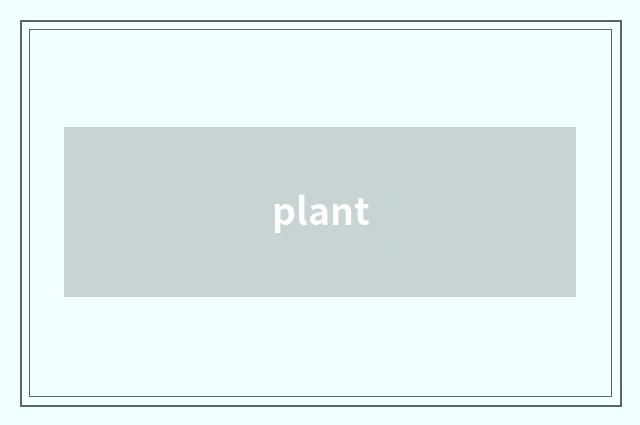 plant