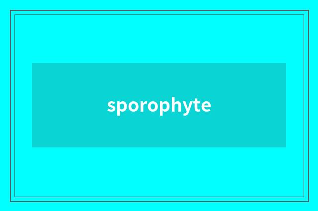 sporophyte