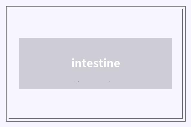 intestine