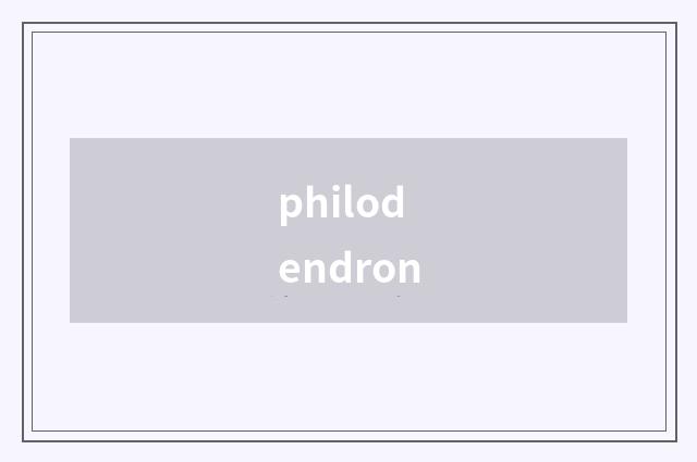 philodendron