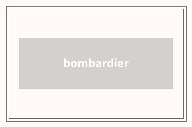 bombardier