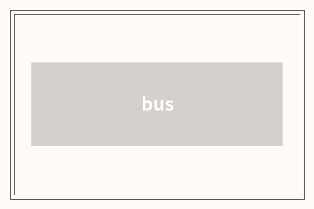 bus