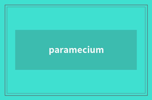paramecium