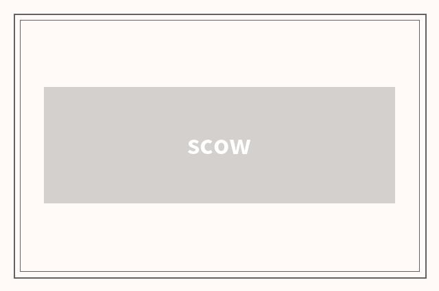 scow