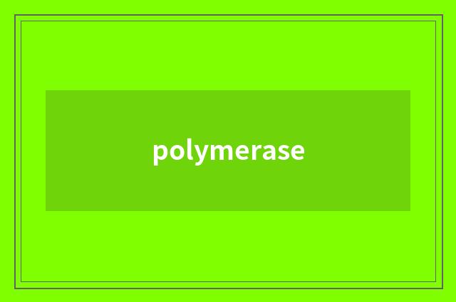 polymerase