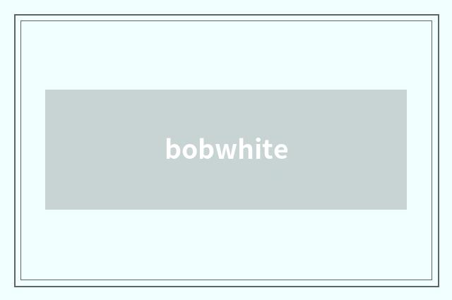 bobwhite