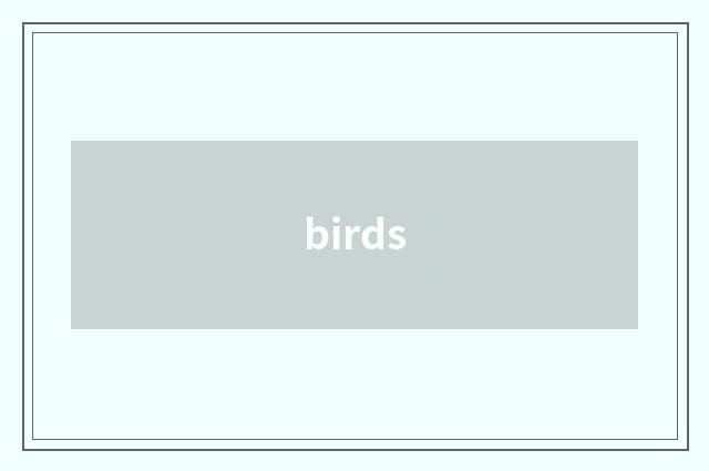 birds