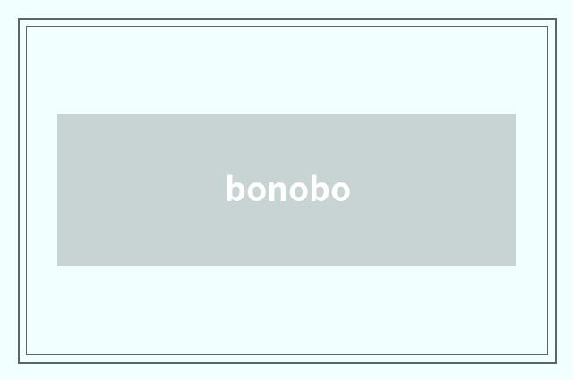 bonobo