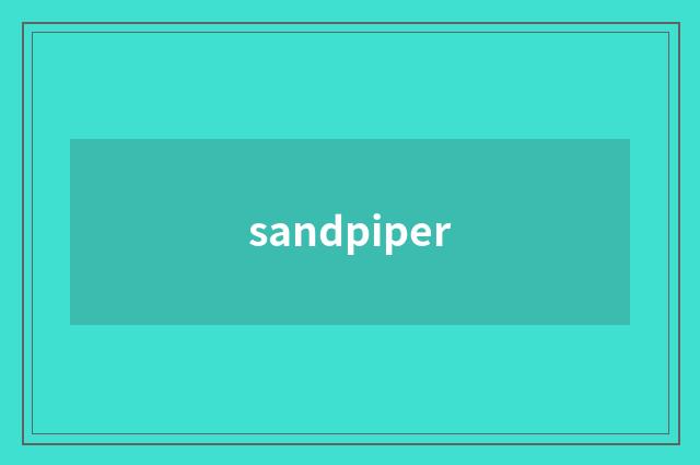 sandpiper
