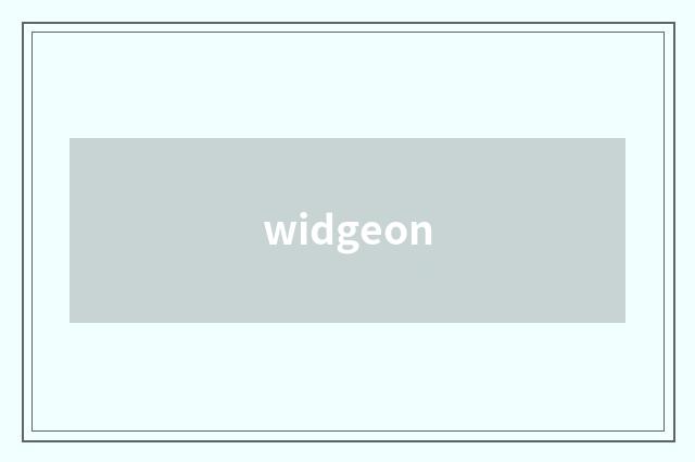 widgeon