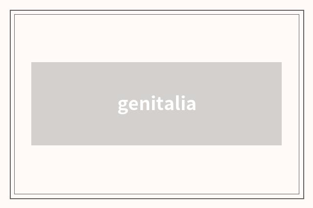 genitalia