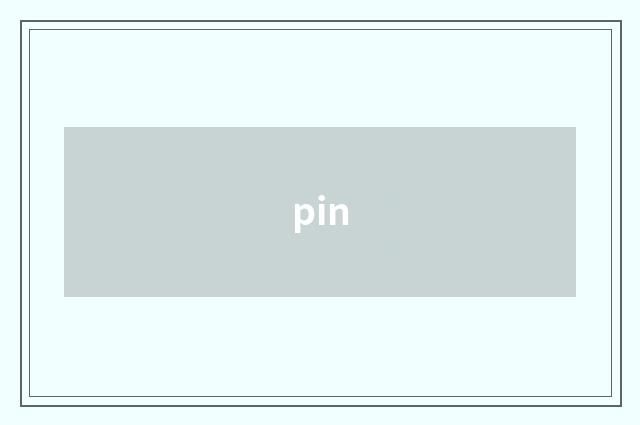 pin