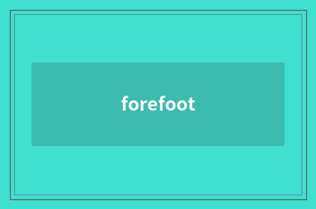 forefoot